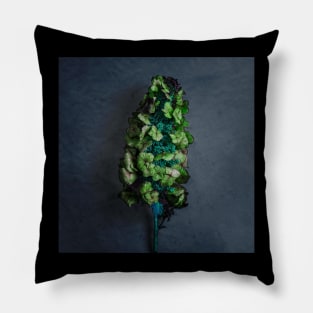 Green Plant Pillow