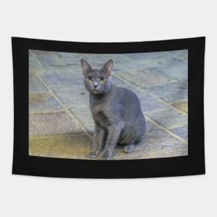 alley cat Tapestry