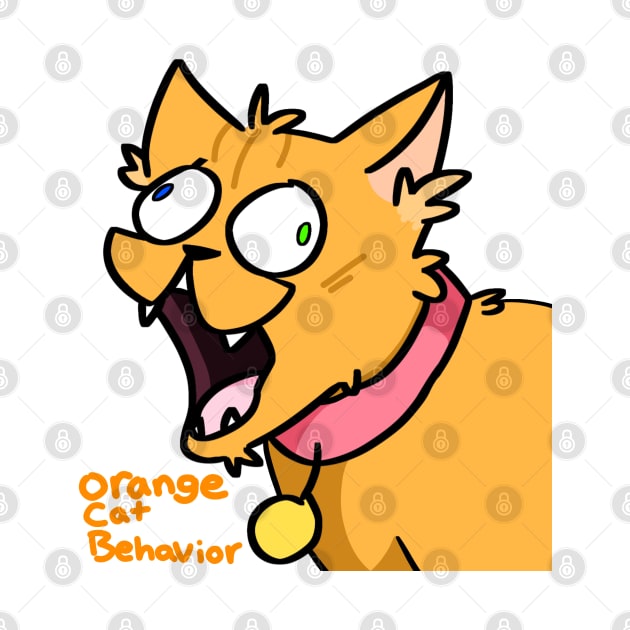 Orange Cat Behavior by dr.eren985@gmail.com