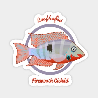 Firemouth Cichlid Magnet