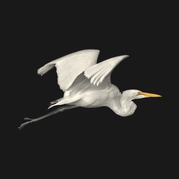 Great Egret in Flight by scotch