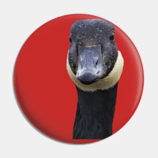 Canadian Goose Funny Portrait Pin