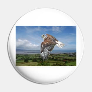 The Red-tailed Hawk over Dungarvin Bay Pin