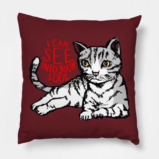 I Can See Into Your Soul: Funny Cat Pillow