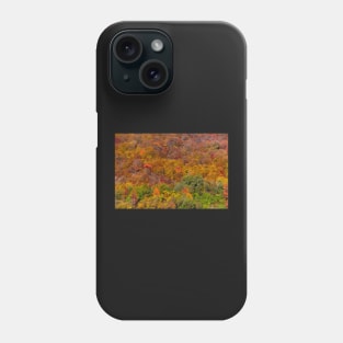 Colorful autumnal landscape Phone Case