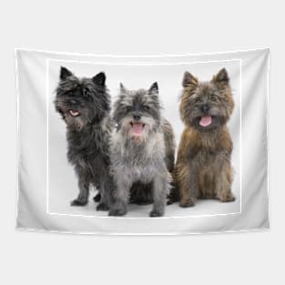 Three Cairn Terriers Tapestry