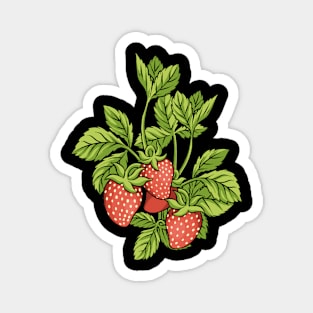 Strawberry Plant Strawberries Magnet