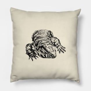 Tegu Pillow