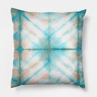 Dividing in color Pillow