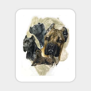 Cane Corso Medley Magnet