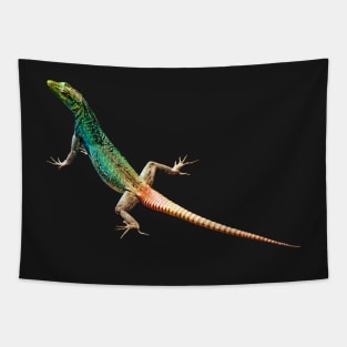 Colourful Lizard | African Wildlife Tapestry