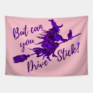 But Can You Drive Stick? She can witches! Halloween Witch on a Broom Purple Tapestry