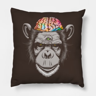 Candy Brain Pillow