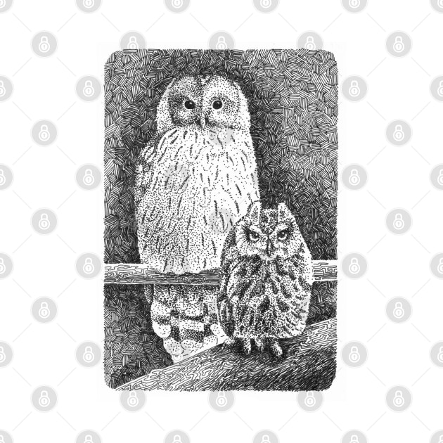 Owl drawing by NatureDrawing