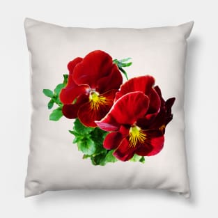 Two Red Pansies Pillow