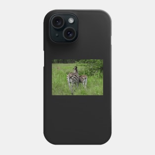 Zebra stripes Phone Case