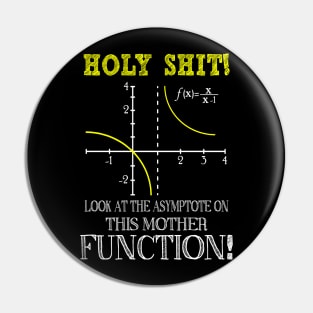 Funny Math, Holy Shit Look At The Asymptote On This Mother Function Pin