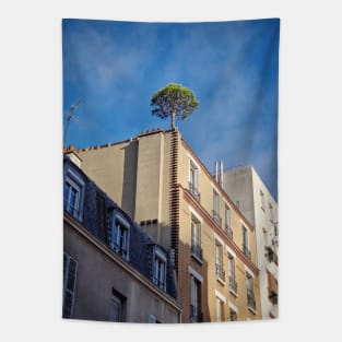 Pine tree on the top of a building Tapestry