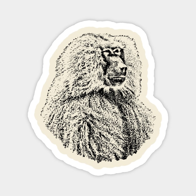 Baboon Magnet by Guardi