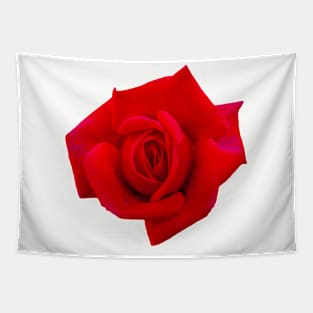 Rose for You Tapestry