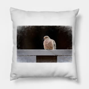 Resting Mourning Dove by Debra Martz Pillow