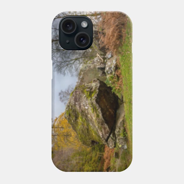 Bowder Stone Phone Case by Femaleform