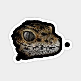 Artsy Lizard Drawing | Staring Leopard Gecko Magnet