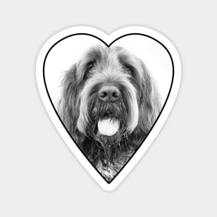 Moustache Spinone Magnet