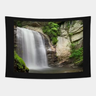 Looking Glass Falls Tapestry