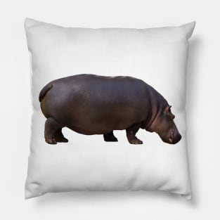 Big Hippopotamus Pillow