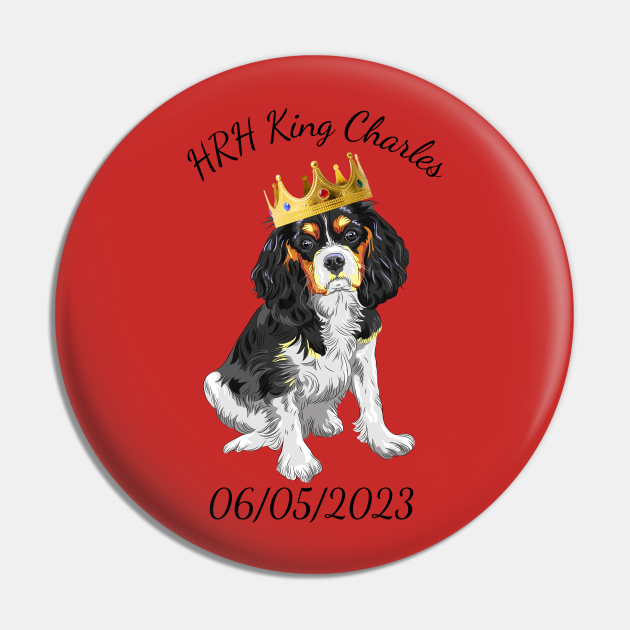 King Charles Coronation King Charles Corponation Memorabilia Pin