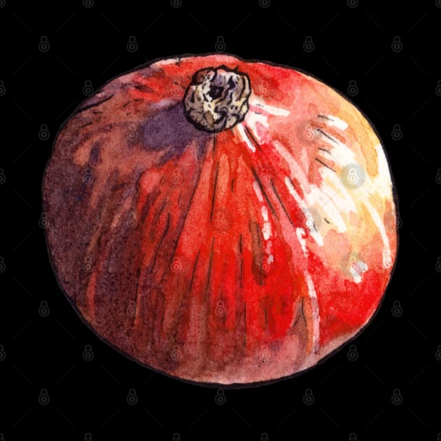 Red kuri squash by AquarellChill