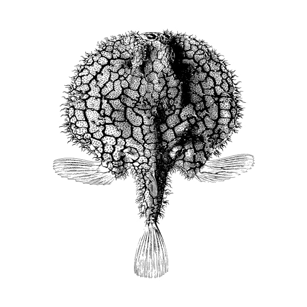 Stonefish | Ocean Sea Animal Marine Life by encycloart