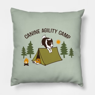 Canine Agility Camp | Border Collie Dog Agility Pillow