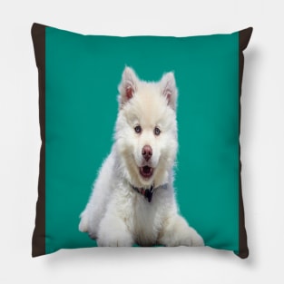 White dog Pillow