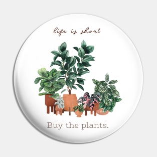 House plant collection 2 Pin