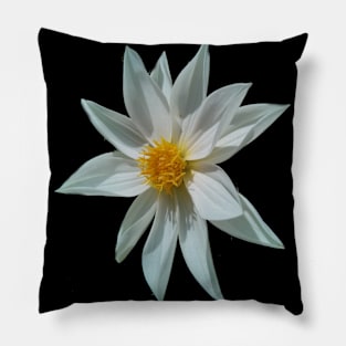 White Dahlia Pillow