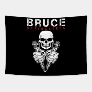 Bruce springsteen Tapestry