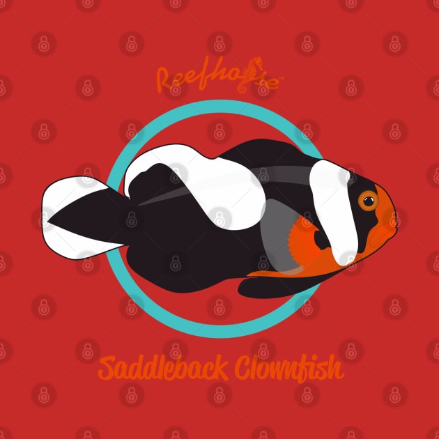 Saddleback Clownfish by Reefhorse