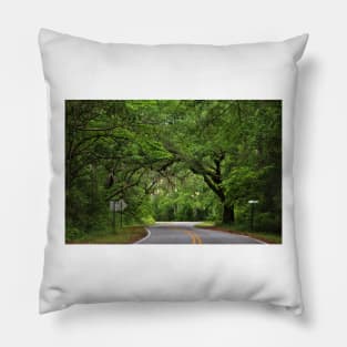 Lovely Drive Pillow