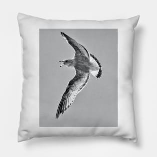 Attacking Gull Pillow