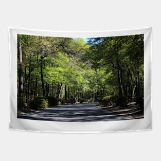 Scenic Forest Tapestry