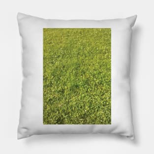 Texture - Green Grass Pillow