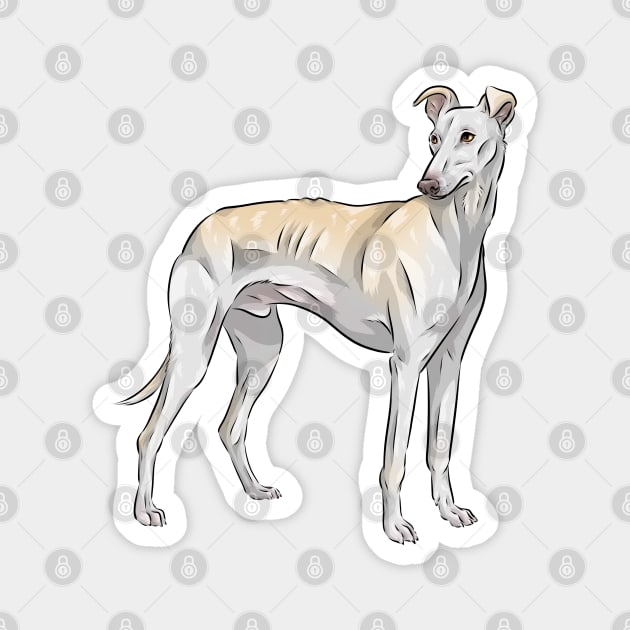 Spanish Galgo Dog |  Spanish Greyhound Magnet by Shirin Illustration