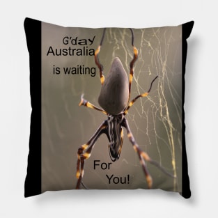 Australia is Waiting for you! Pillow