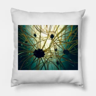 Human nerve cells, illustration (F012/8233) Pillow