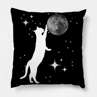 Cat Playing With The Moon Pillow