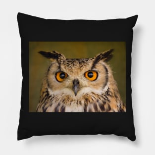 Look Into My Eyes! Pillow