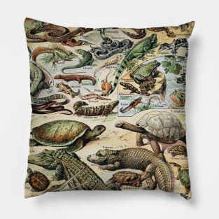 Reptiles Pillow