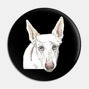 White shepherd SAFFY Pin